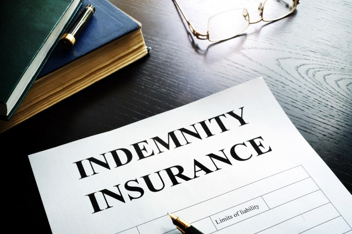 professional indemnity insurance terbaru