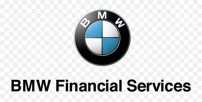 Bmw financial
